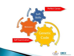 Career Assessment Model Rev 1